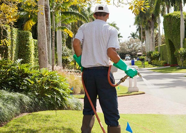About Weslaco TX Pest Control Pros